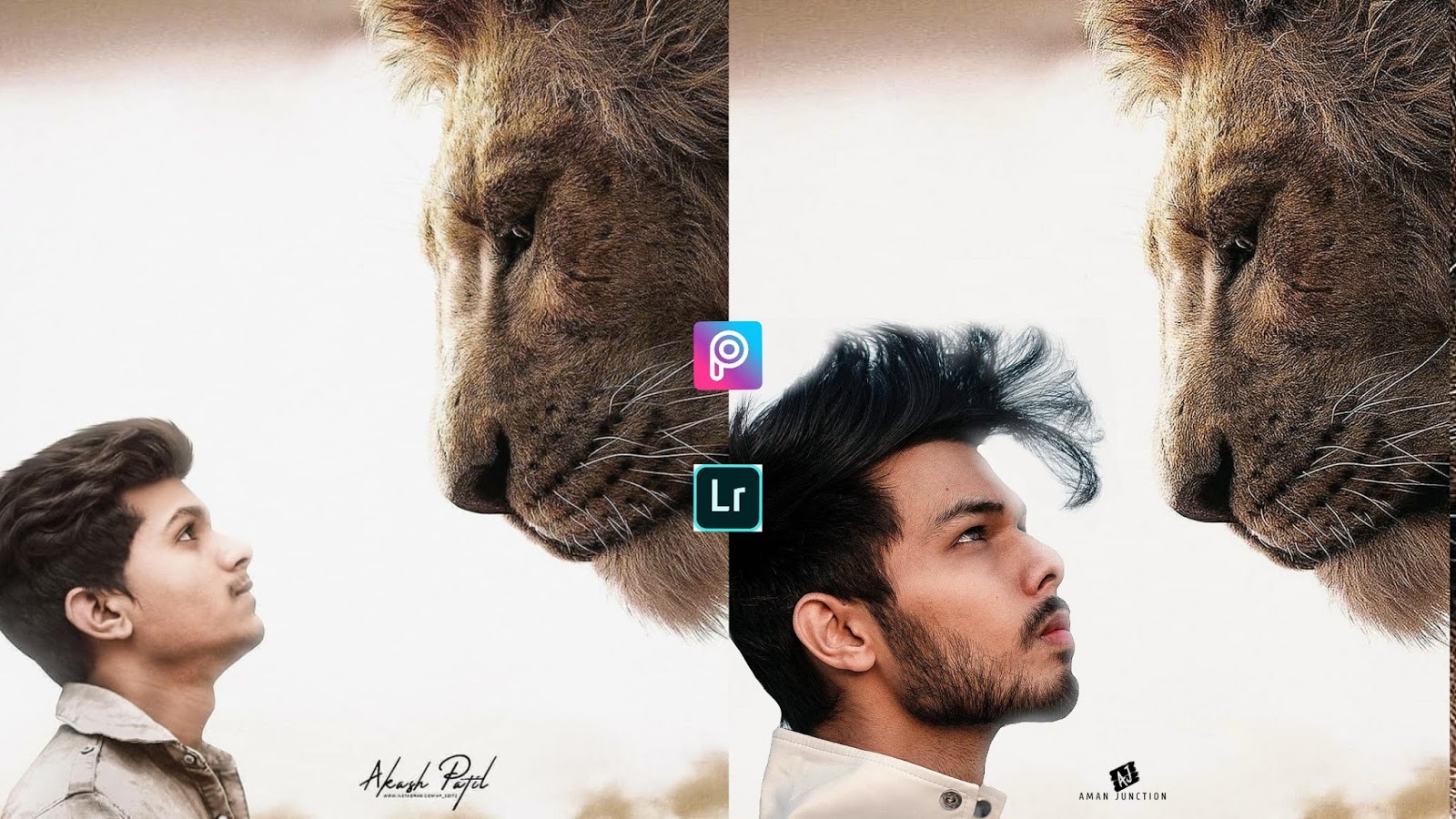 Lion photo editing background and png