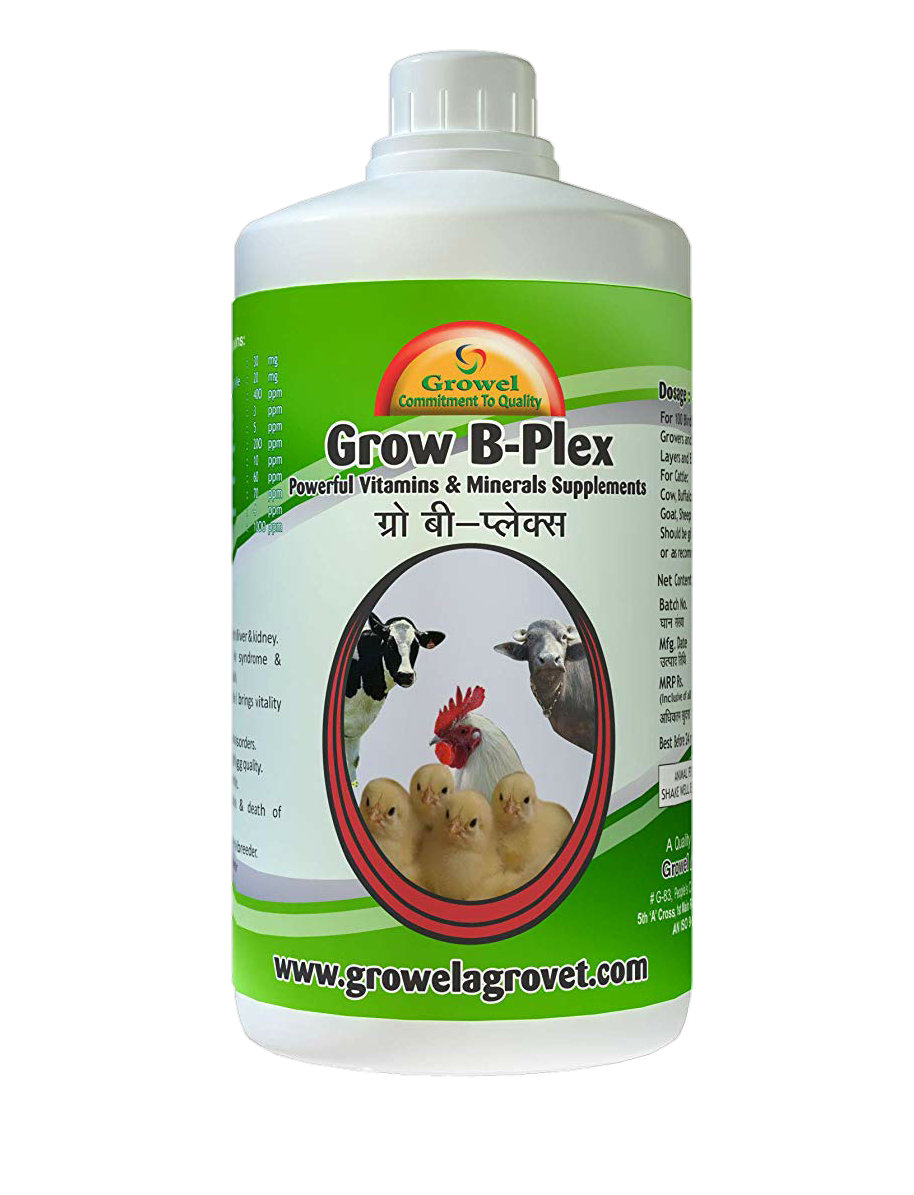 Importance of Mineral And Vitamins For Goats Goat Farming