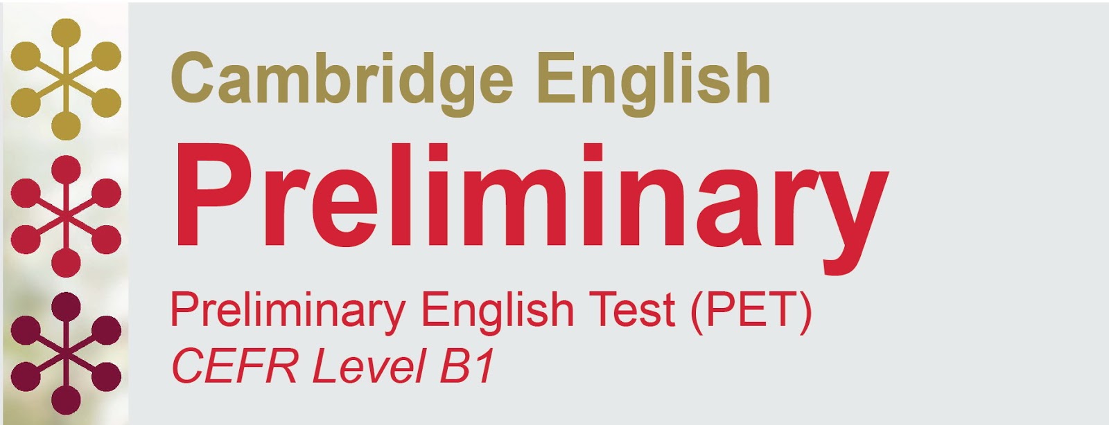 Preliminary english test. Pet Cambridge. Pet preliminary English Test 1. Cambridge English preliminary. Cambridge preliminary Pet b1.