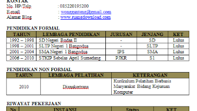 Contoh Curriculum Vitae (Daftar Riwayat Hidup) Yang Baik Dan Benar