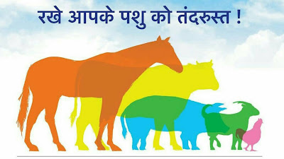 Biofit cfc plus uses