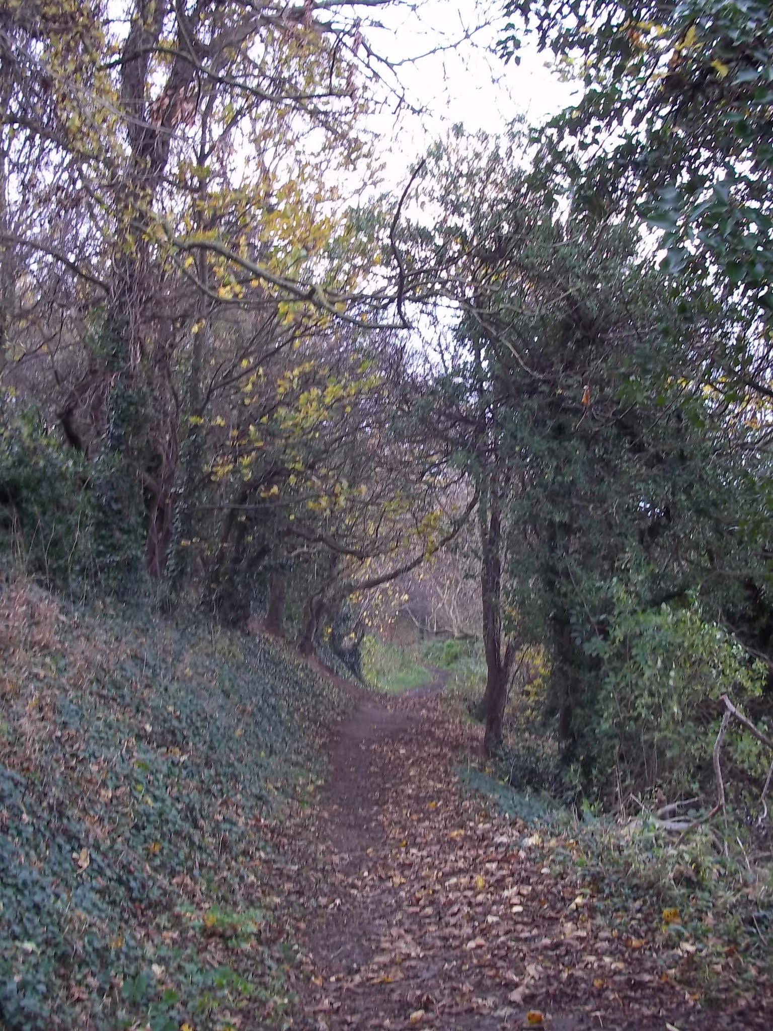 Walking The Peak Hexthorpe, Warmsworth, Balby, Sprotbrough, and Newton