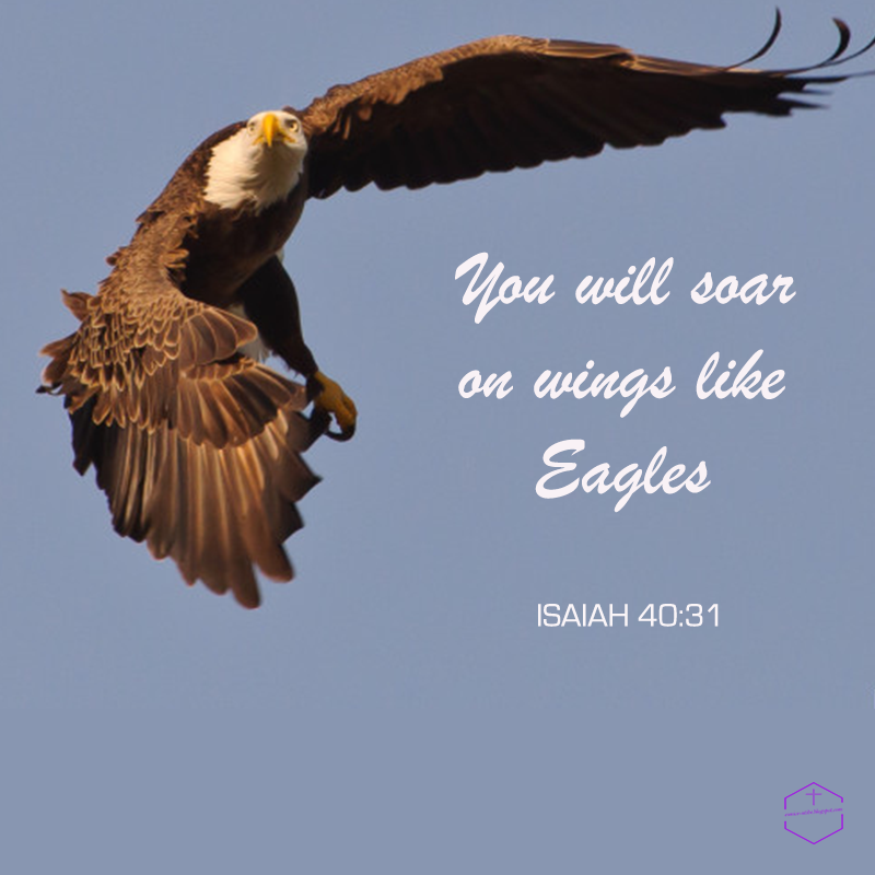 Iutibe Soar on Wings like Eagles