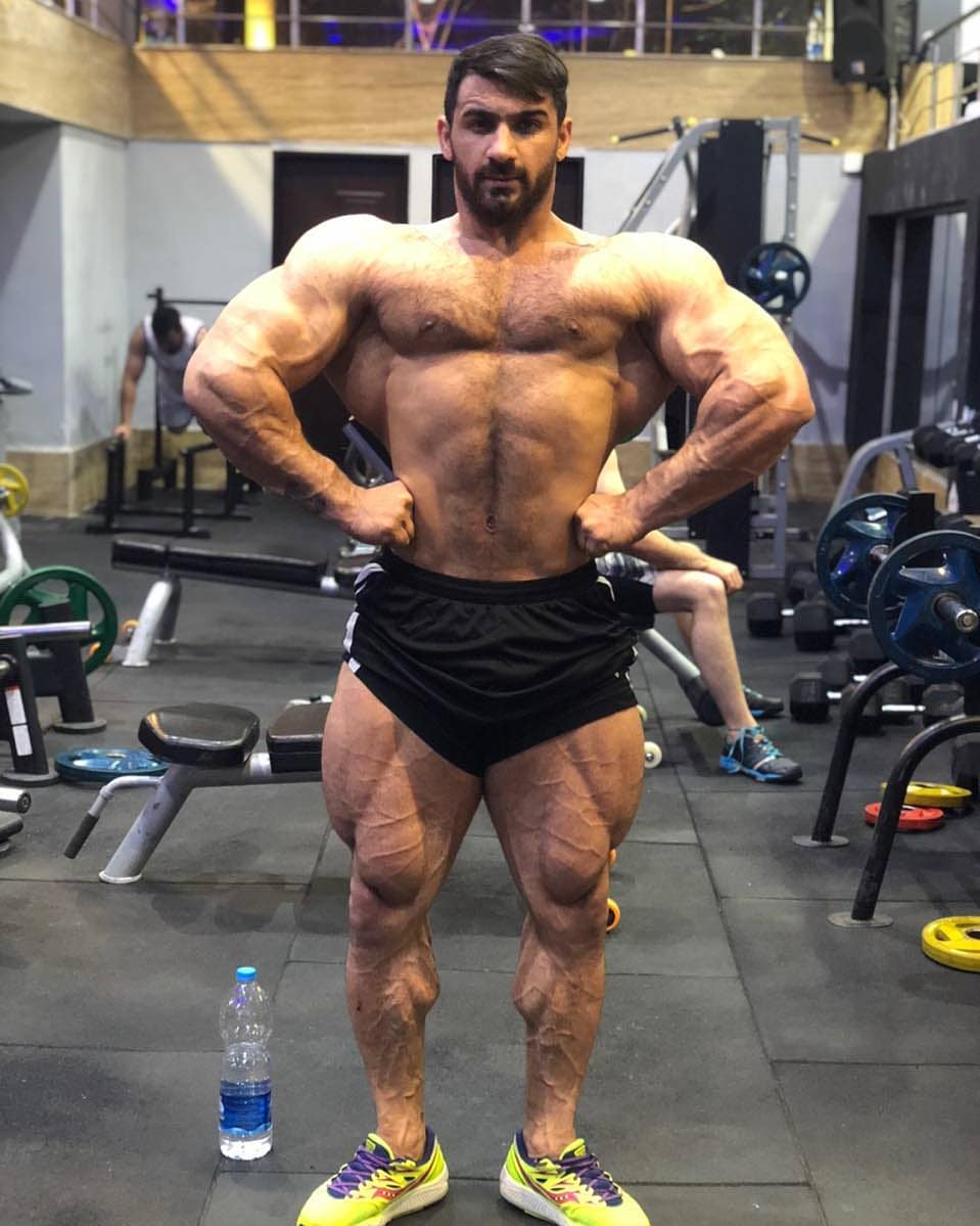 Persian Muscle Gods Classic Physique Bod