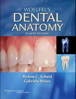 Woelfel’s Dental Anatomy – Its Relevance to Dentistry 8th Edition Woelfel’s Dental Anatomy – Its Relevance to Dentistry 8th Edition