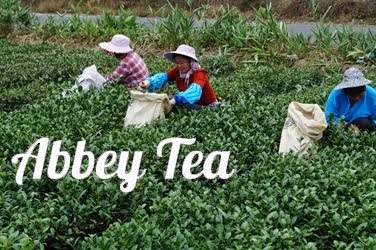 Abbey Tea