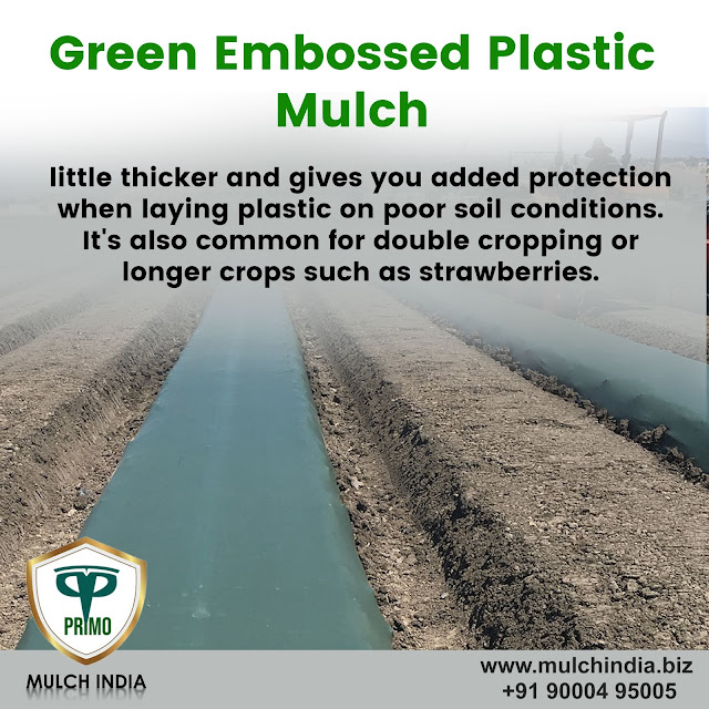 MulchIndia Benefits of Plastic Mulch Mulch India Call us +91