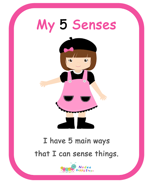 My Body for kids - My Five Senses