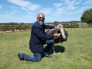Feeding "Tom Thumb" the World's smallest living ostrich.