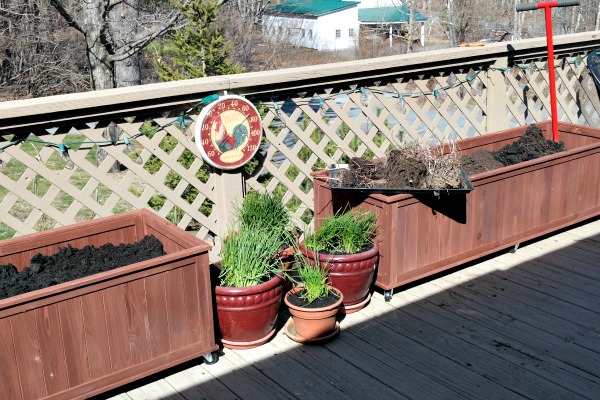 MountainMama: Creating a Patio Herb Garden