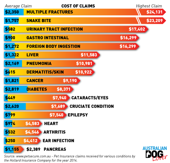 What Is The Average Cost Of Dog Insurance