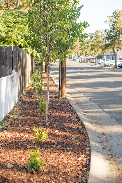 Domestic Fashionista: Updated Front Yard Garden Bed