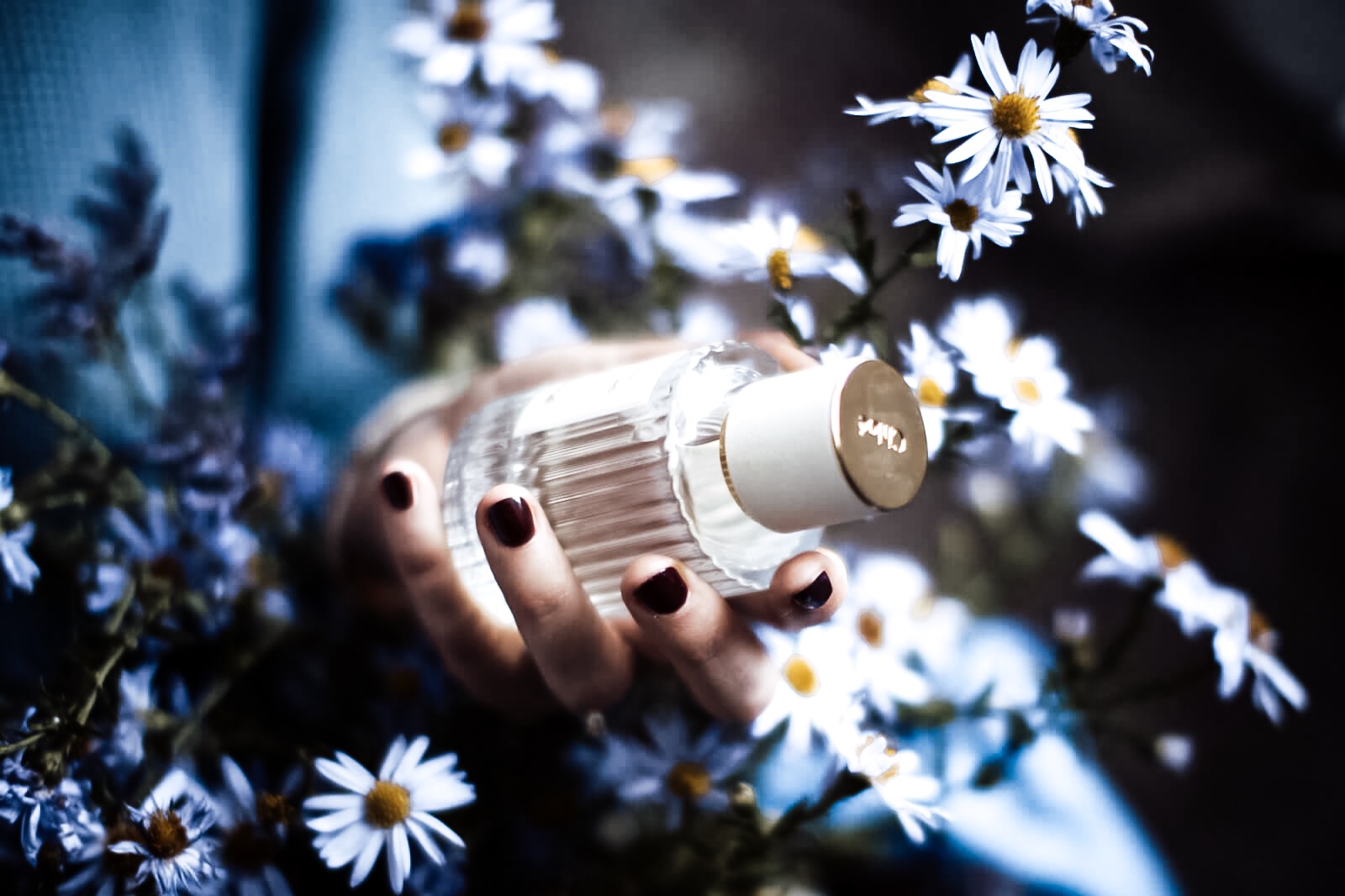 Rose Cake Ou Gateau Bouquet De Fleurs Pour La Saint Valentin Il