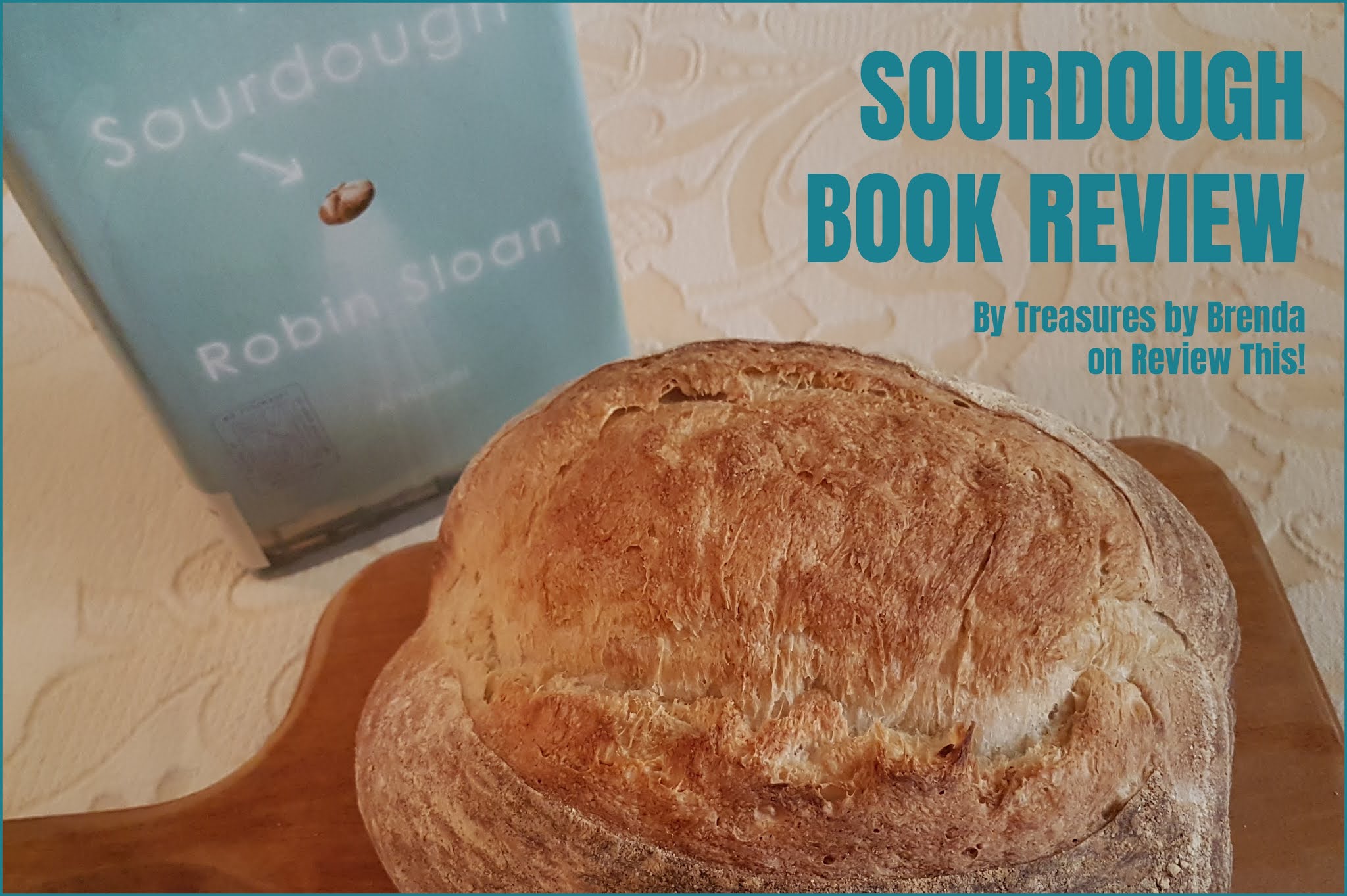 Robin Sloan's Sourdough, A Book Review