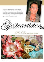 Gæstedesigner i Ett Trykk februar 2011