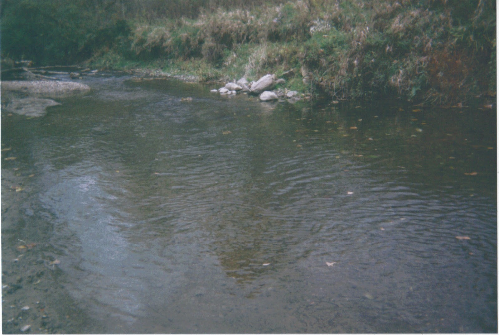 Apple Creek Trout Fishing in Wooster Ohio