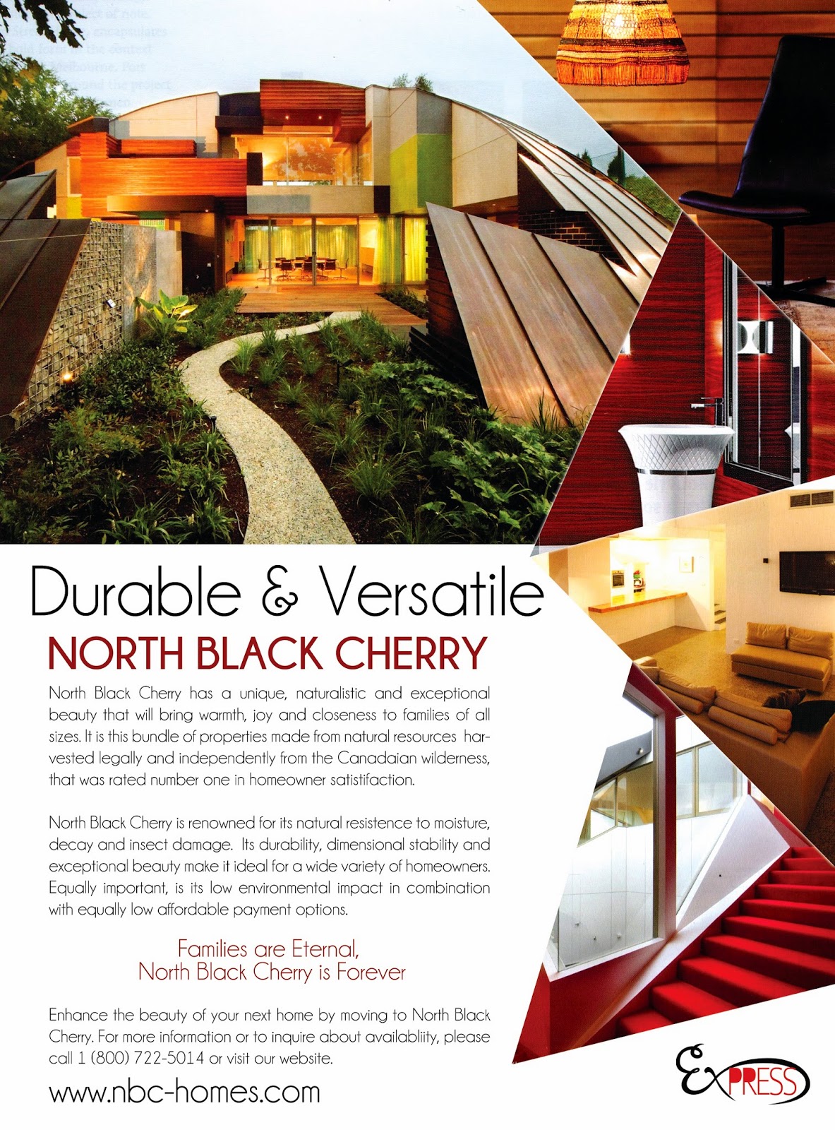 Danielle's Spring 2014 Portfolio House Ad