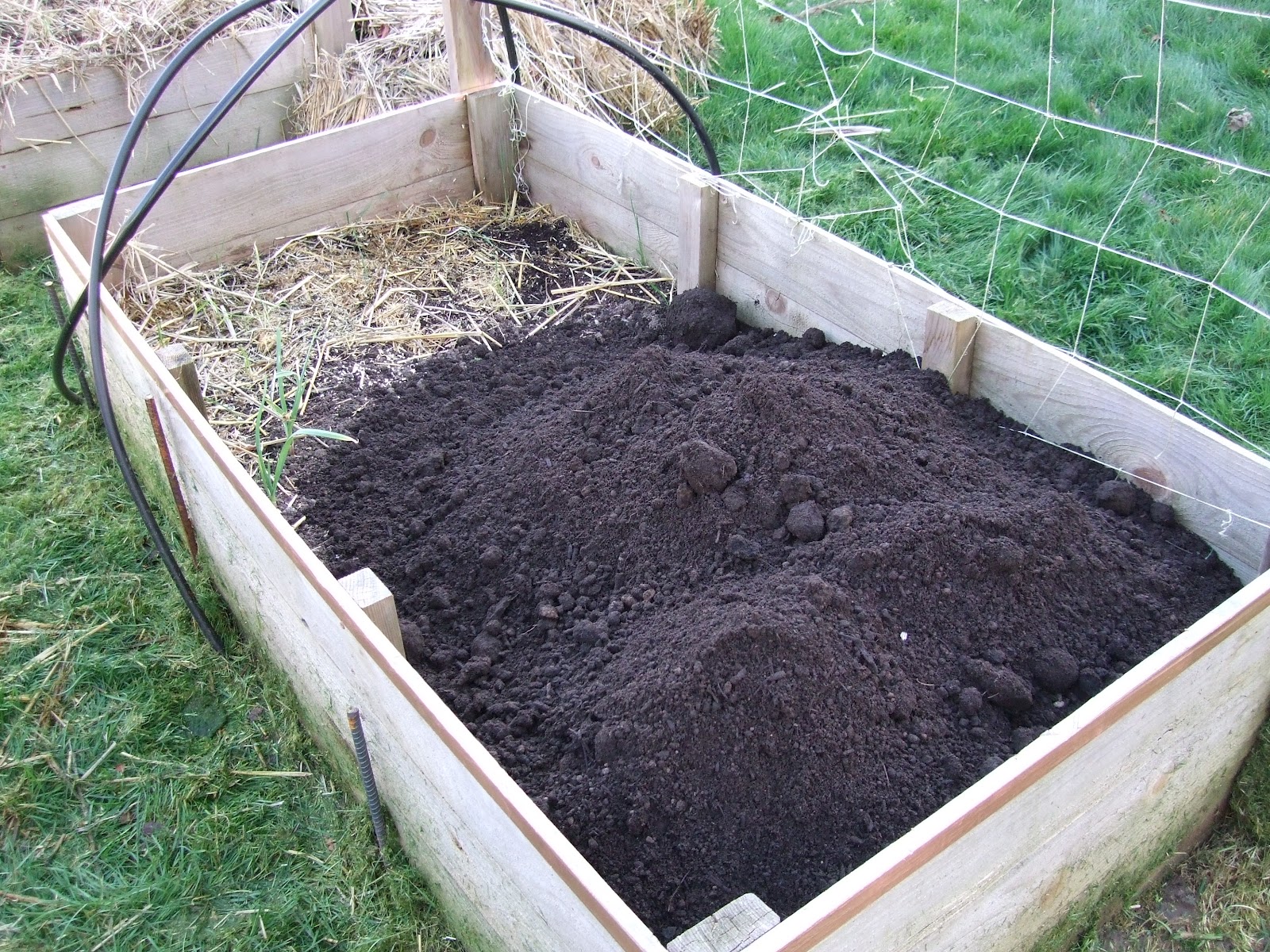 Where To Get Soil For Raised Beds