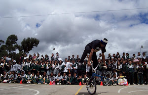 Exhibiciones en colegios y empresas.