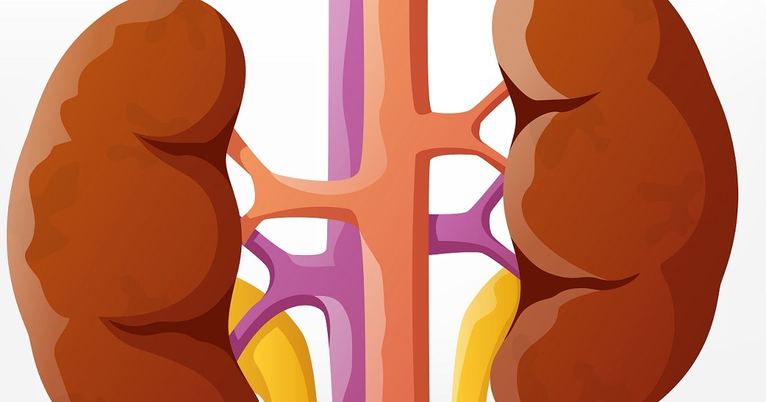 Enfermedad de Addison Salud en línea