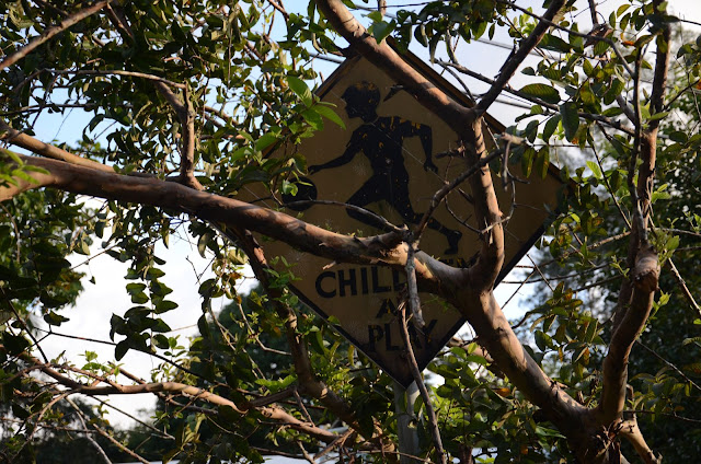 Children at play sign amidst tree branches
