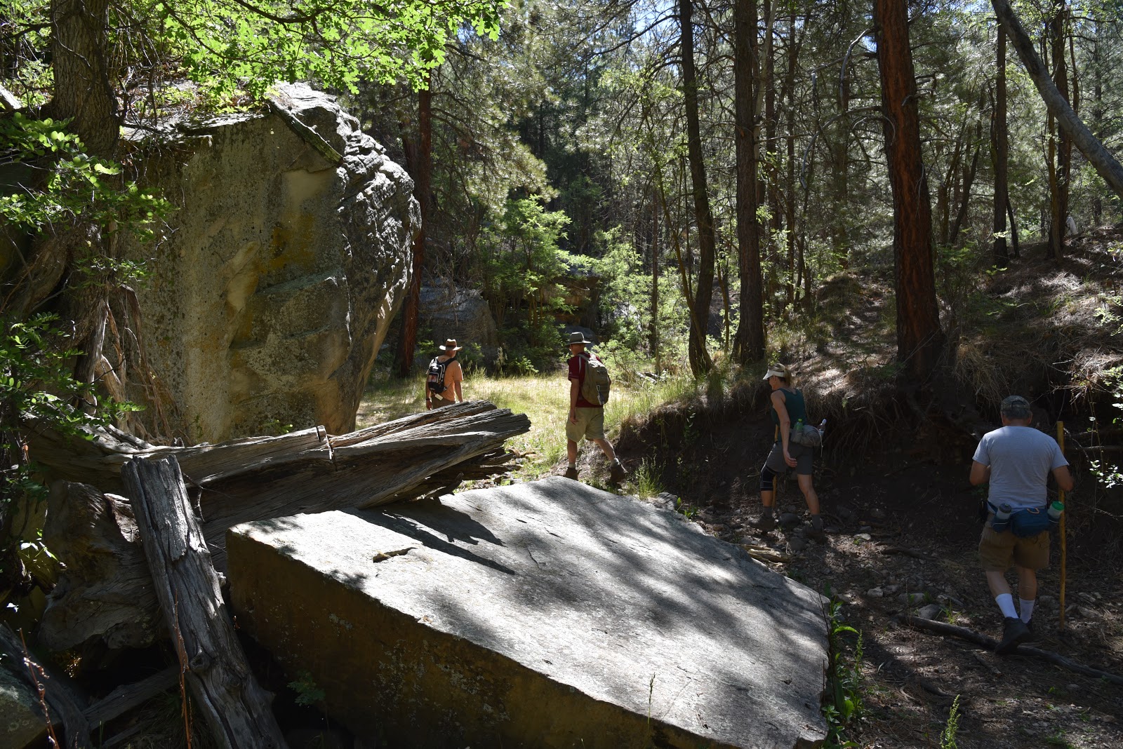Arizona Hiking PIVOT ROCK CANYON & WILDCAT SPRING