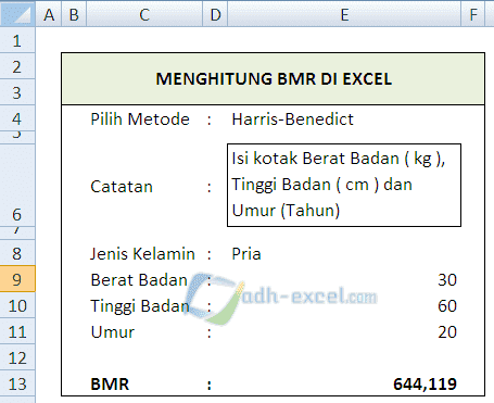 Cara Menghitung Bmr Dengan Rumus Dalam Excel Adhe Pradiptha
