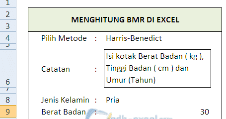 Cara Menghitung Bmr Dengan Rumus Dalam Excel Adhe Pradiptha