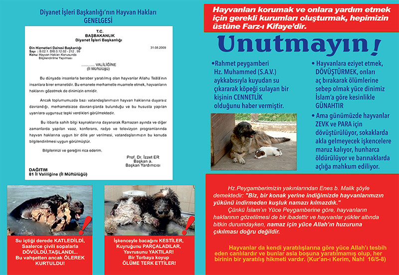 bursa altiparmak hayvan haklari