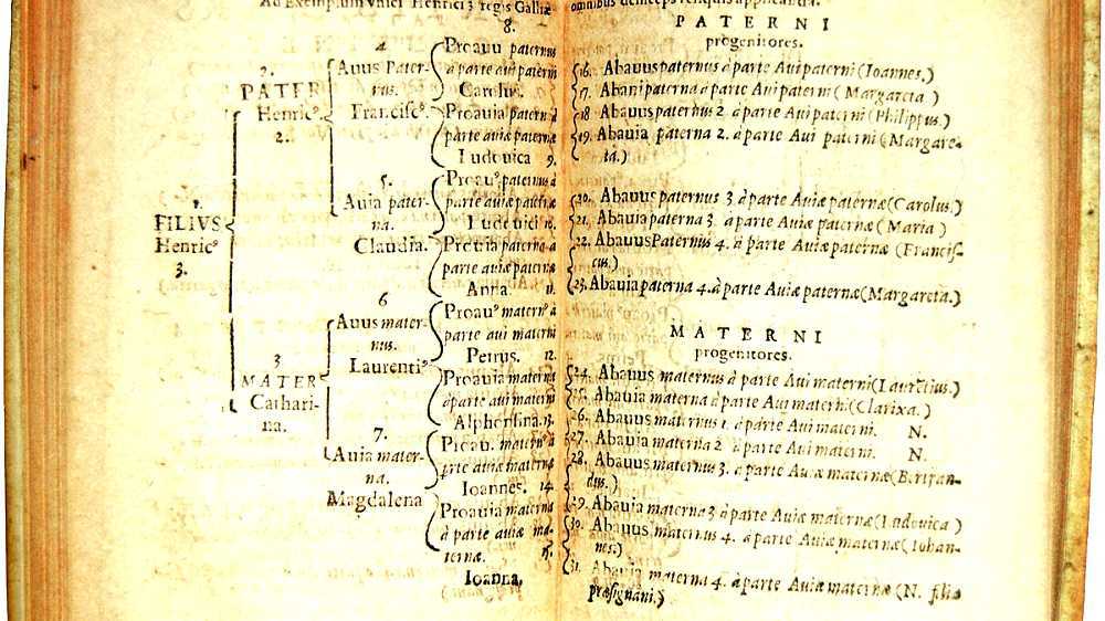 Genealogical numbering systems