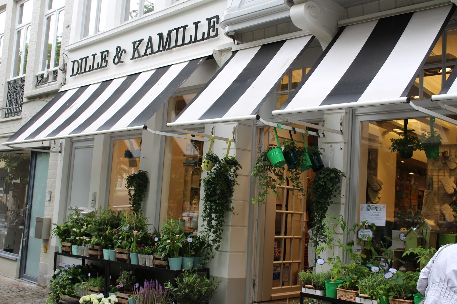 Je découvre le magasin Dille & Kamille