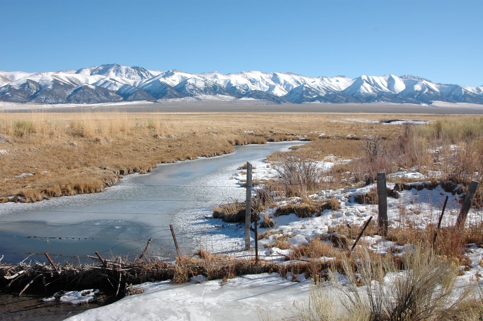 Austin, Nevada Austin's 150th Anniversary — We're Off and Running!