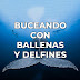 Audioterapia «Buceando con Ballenas y Delfines» (60min)
