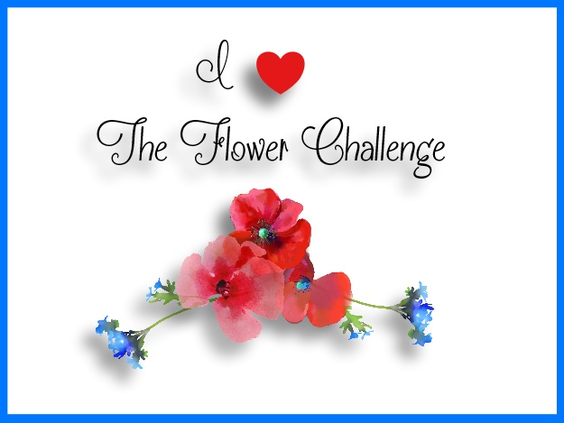 The Flower Challenge