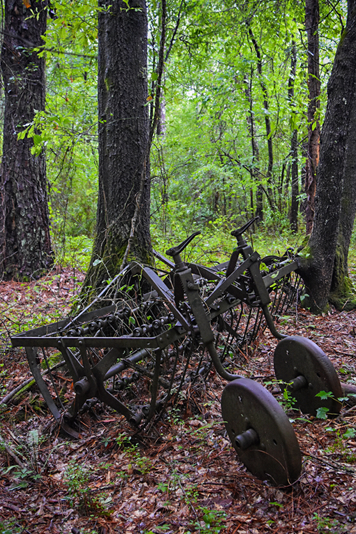 Wanderlust Atlanta Yellow River Park