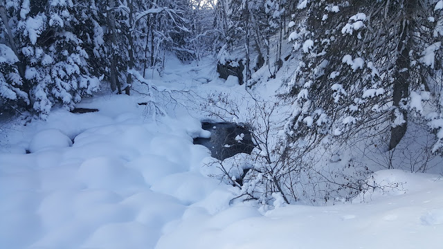 Cours d'eau sur le sentier de la Matawinie