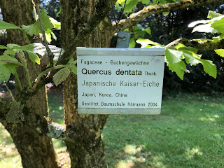 Schloß Hohenheim/ホーエンハイム城 〜植物園のような庭園のあるお城〜