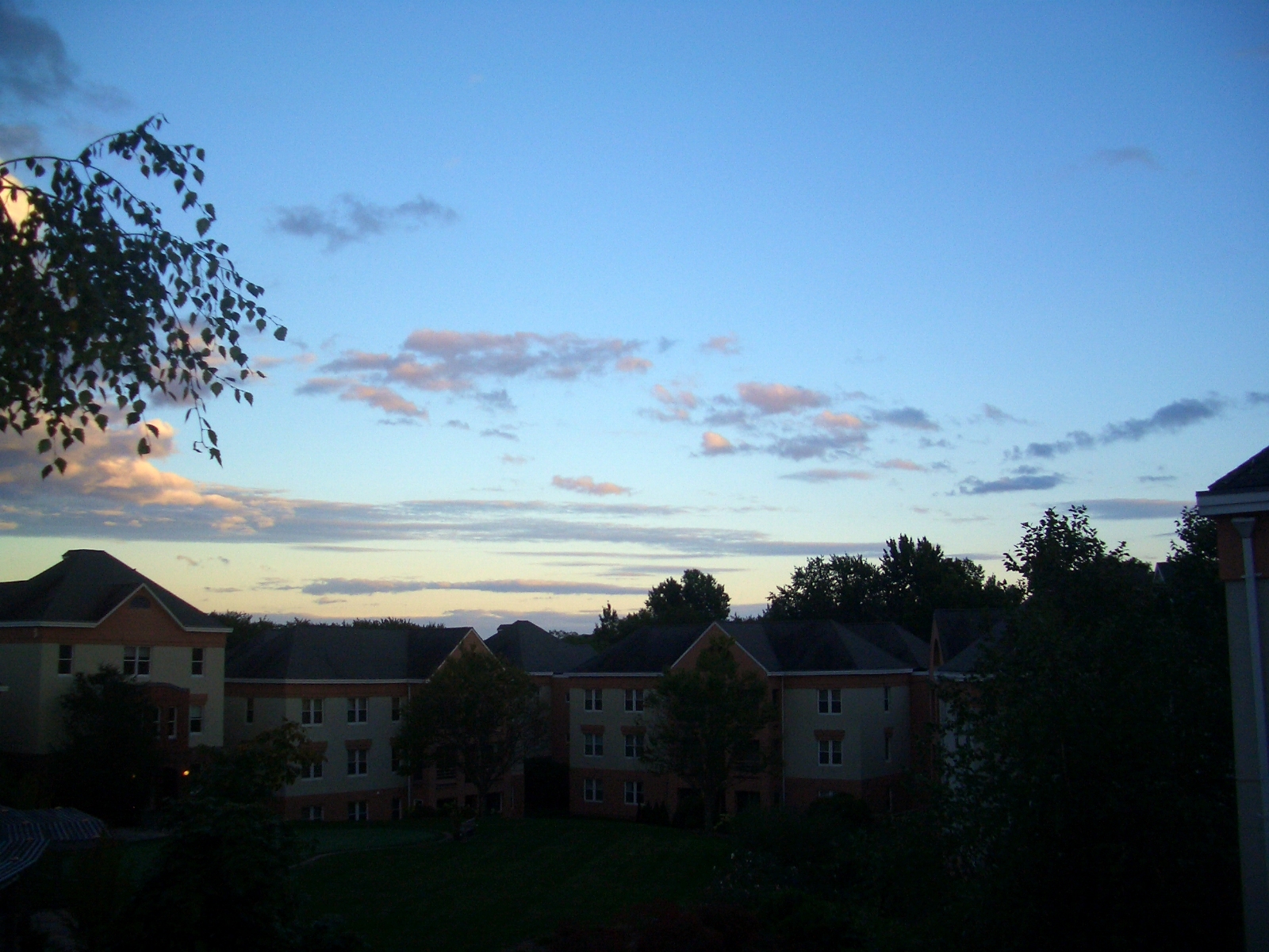 Vineyard Views Early Evening September Sky