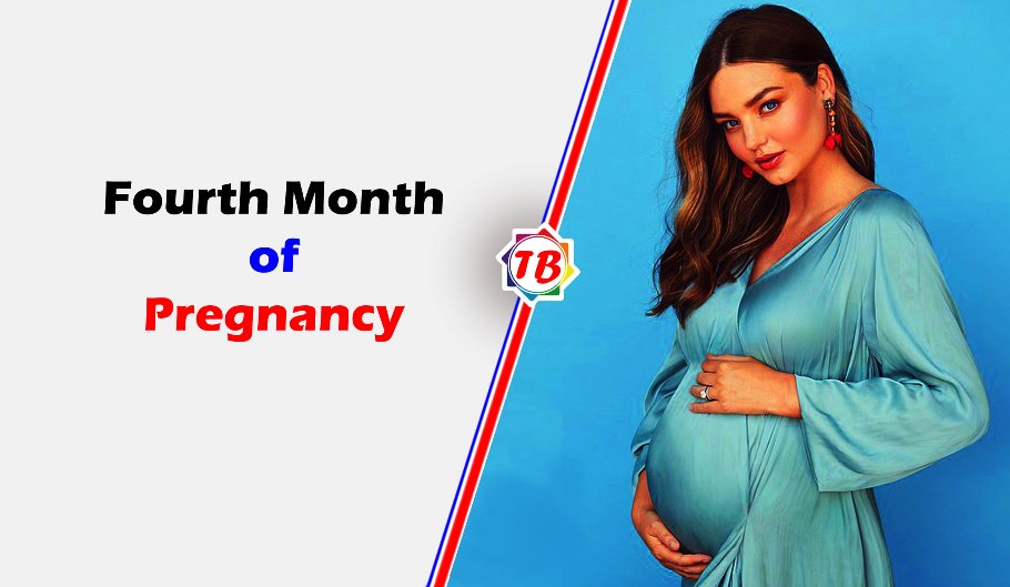Fourth Month of Pregnancy