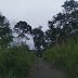Jalan Binduriang - SBU Rusak Parah dan Rimbun