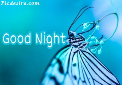 Top 101 Good Night Images || Best Good Night Images Top 101 Good Night Images || Best Good Night Images