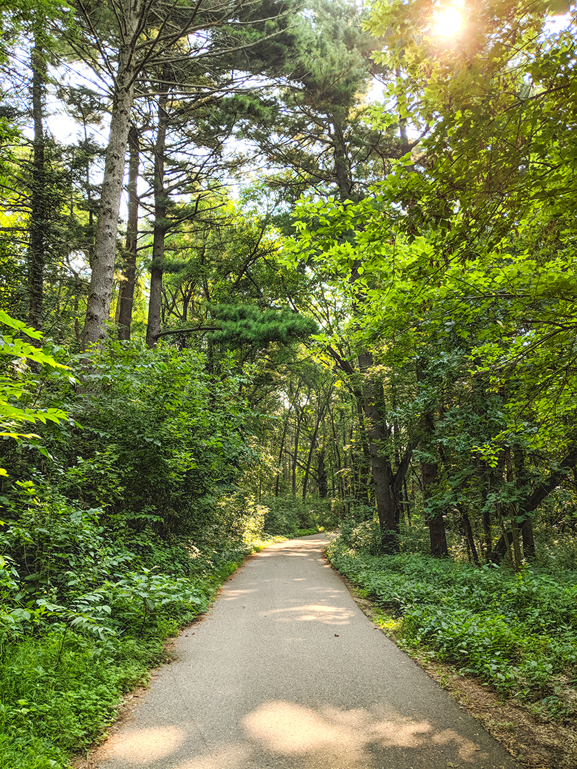 UW Lakeshore Preserve Hiking Trails