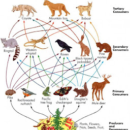Mr. Mak's Grade 7 Science Website