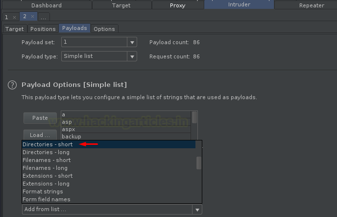 Burp Suite Fuzzing with Intruder 2