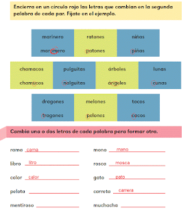 Respuestas Apoyo Primaria Español 2do grado Bloque 1 lección 4 ¿En qué son diferentes?