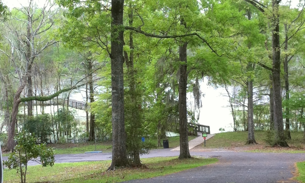 The Gypsy Boho Freedom Express KISATCHIE NATIONAL FOREST KINCAID