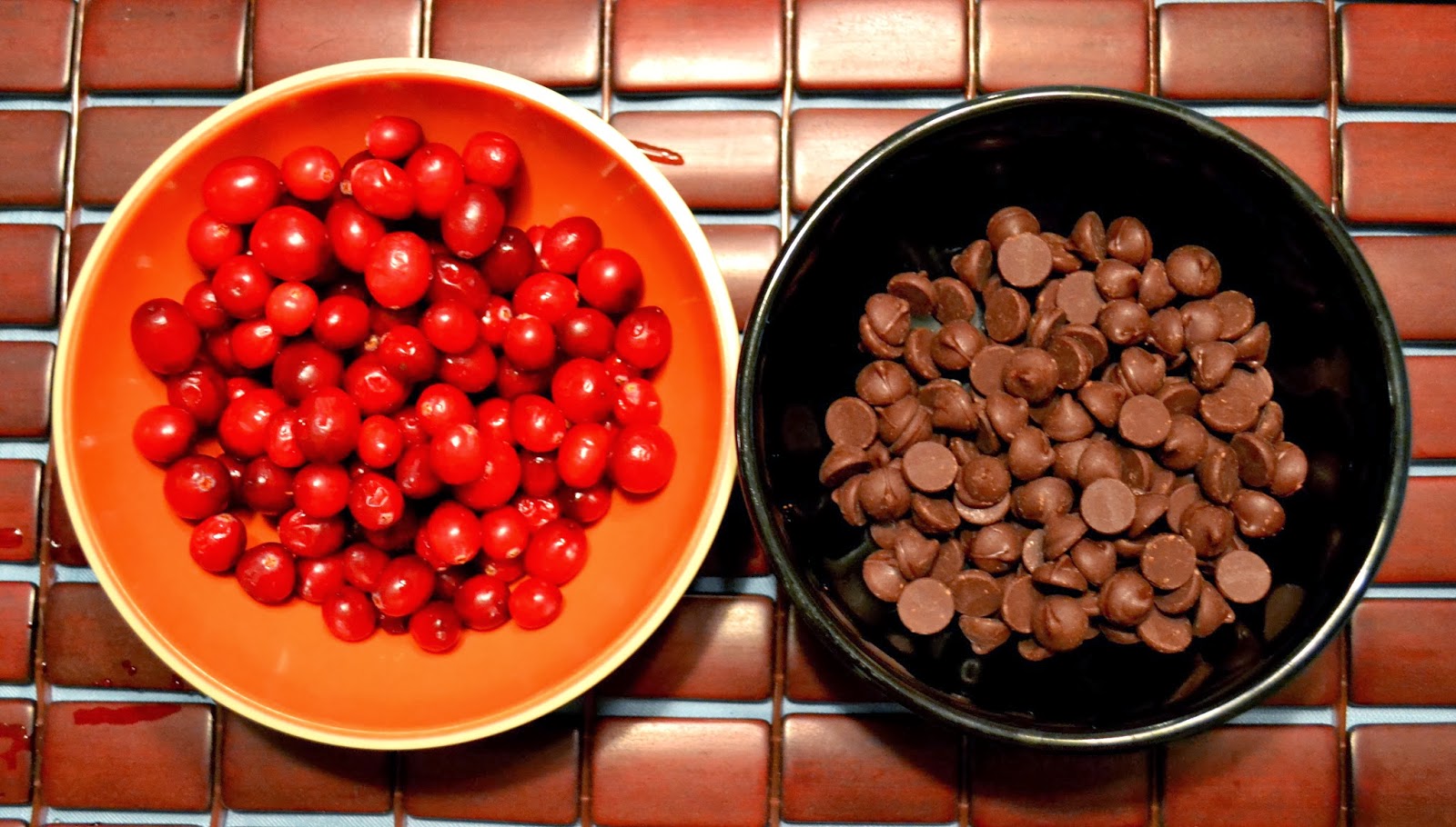 Simple Savory & Satisfying Dark Chocolate Covered Cranberries