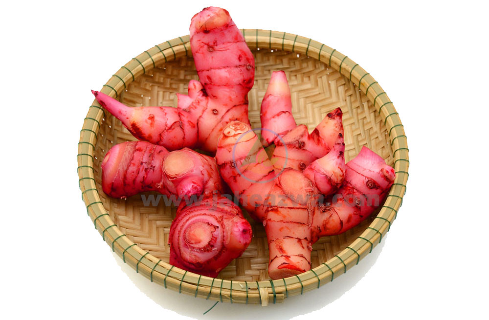 Mengenal 7 Khasiat Jahe Merah untuk Kesehatan Tubuh