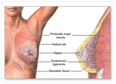saggy breasts after breastfeeding solutions