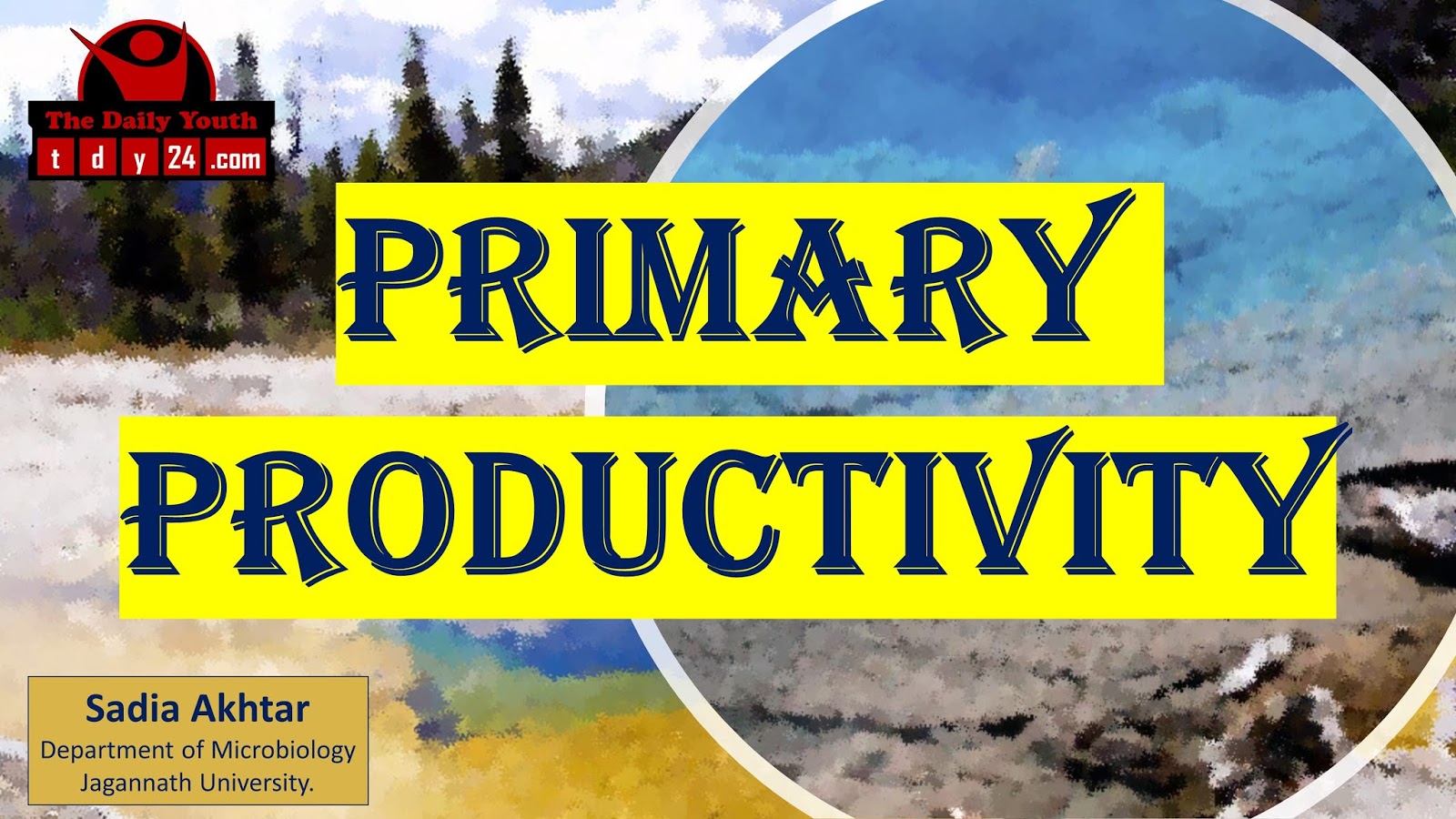 Primary Productivity Biology Diagrams